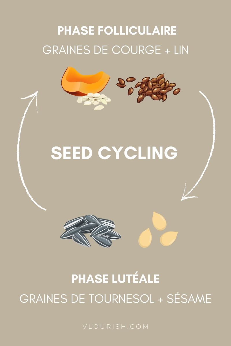 le seed cycling