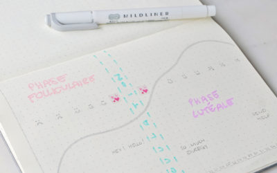 Follicular Phase (Menstrual Cycle) : How to understand & calculate it