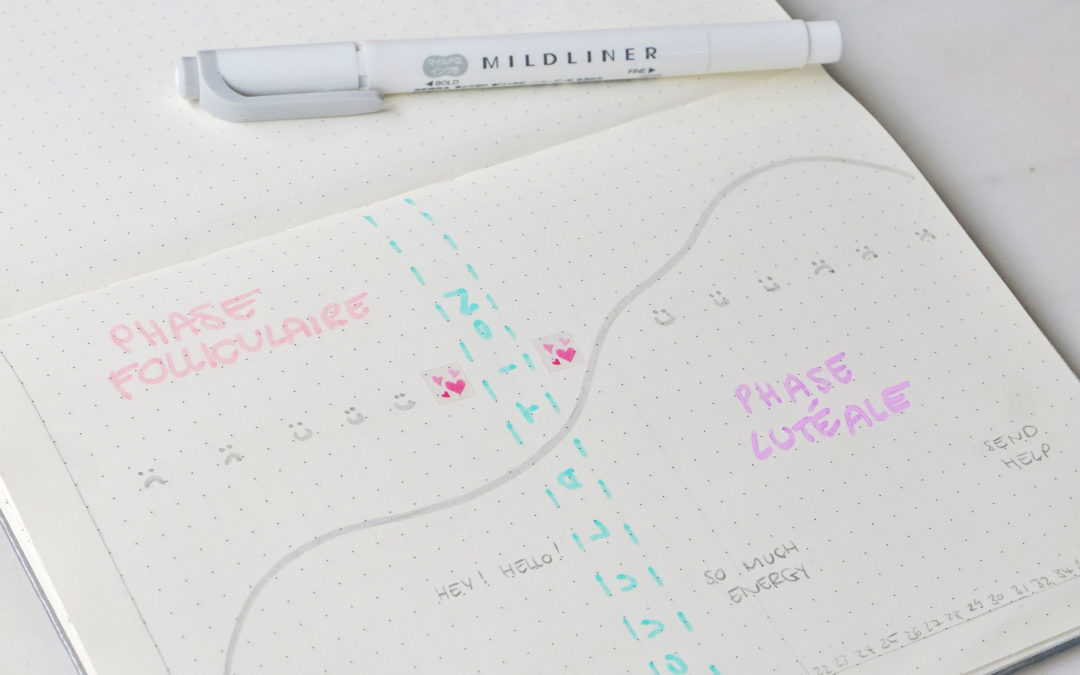 Phase folliculaire : Durée, Comment la calculer, Risque de grossesse ?