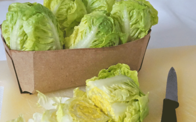 How to Prepare Meals in Advance to Save Time and Eat Healthier