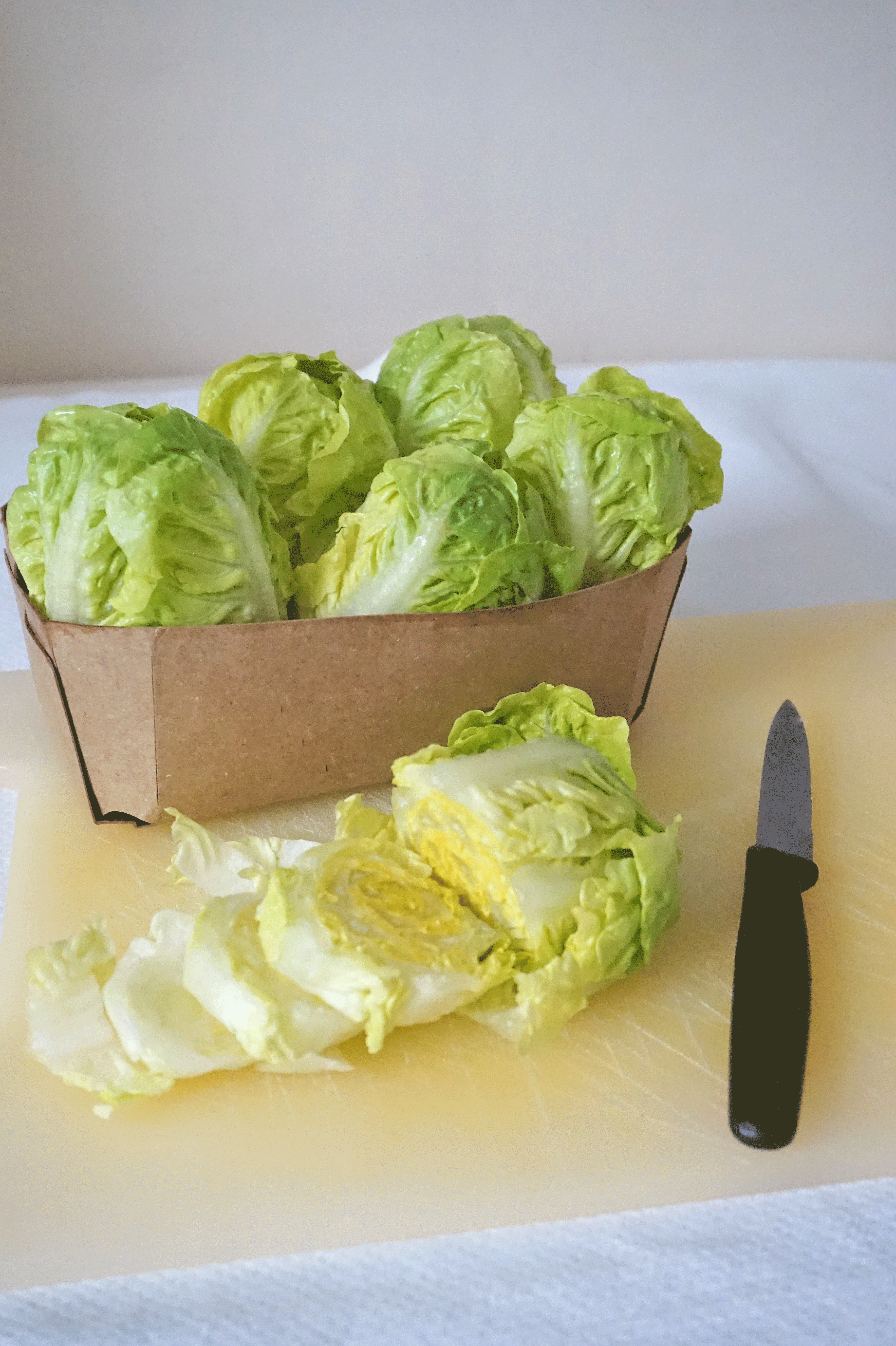 prepare-meals-in-advance prepare-meals-in-advance